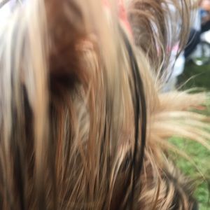 Meet your Posher, Erick